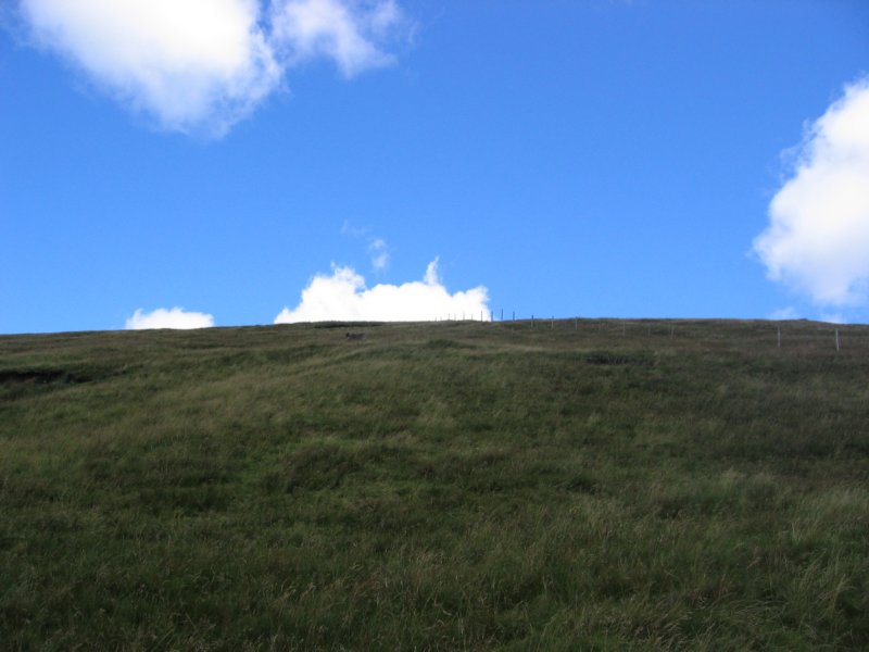 quadding001.jpg