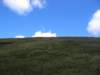 quadding001_small.jpg