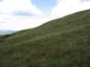 quadding005_small.jpg