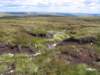 quadding014_small.jpg