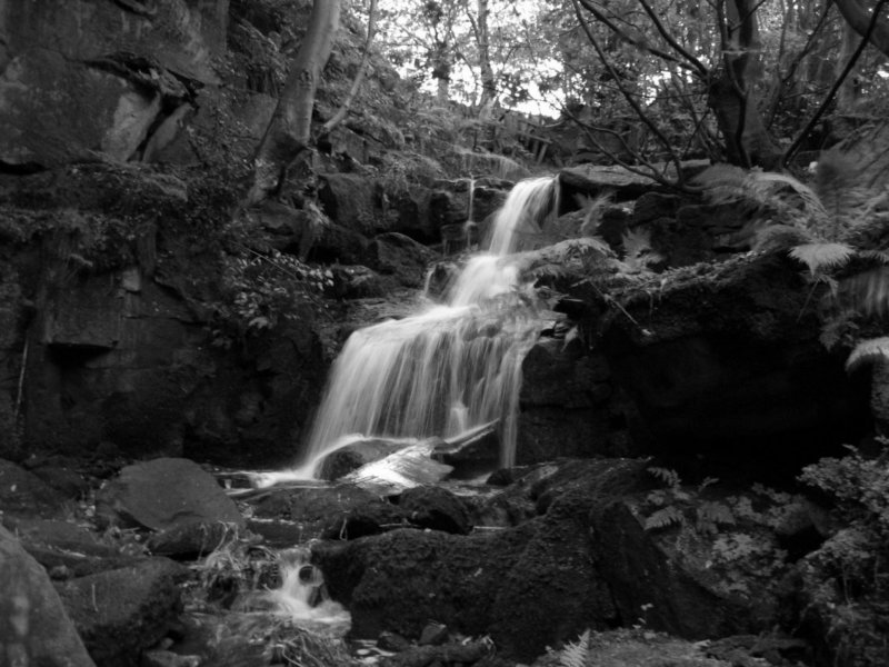 reddingwoodfalls.jpg