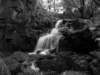 reddingwoodfalls_small.jpg