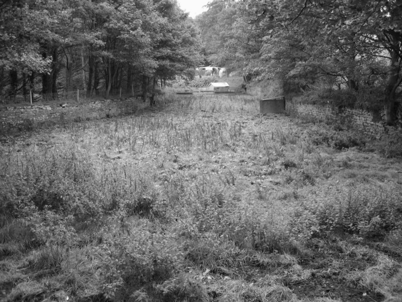 topmilldam.jpg