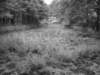 topmilldam_small.jpg